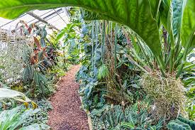 Trfihi Parks Parks Botanischer Garten Der Johannes Gutenberg