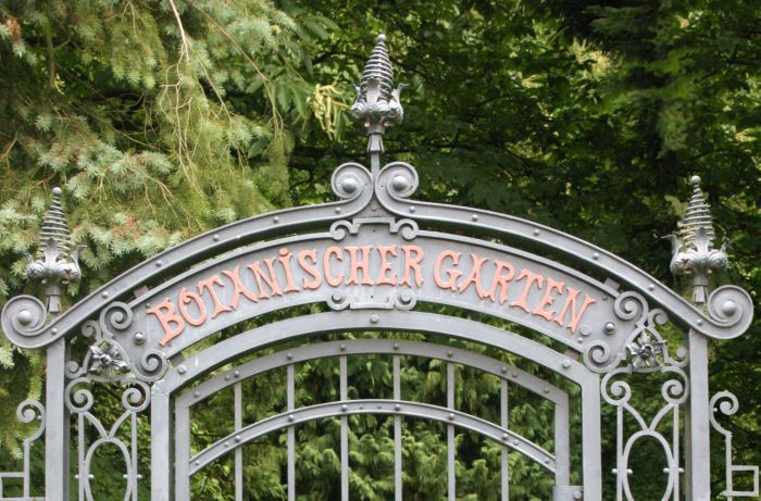 Trfihi Parks Parks Botanischer Garten Darmstadt