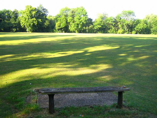 Trfihi Parks Parks Barnes Common