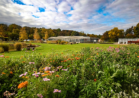 Trfihi Parks Parks Experimenteller Botanischer Garten Gottingen