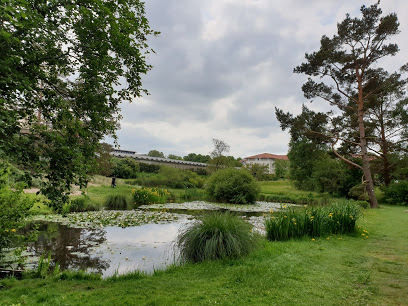 حدائق ترفيهي حدائق Botanischer Garten Rostock