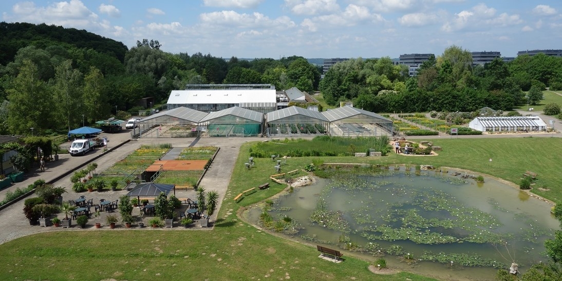 Trfihi Parks Parks Experimenteller Botanischer Garten Gottingen