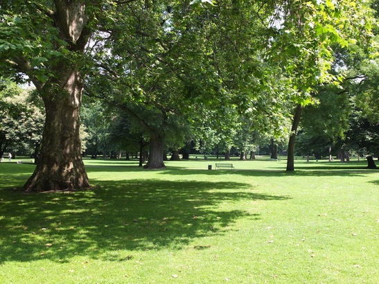 Trfihi Parks Parks Stadtgarten