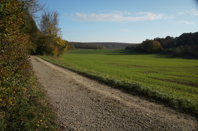 حدائق ترفيهي | حدائق | Stadtwald Göttingen