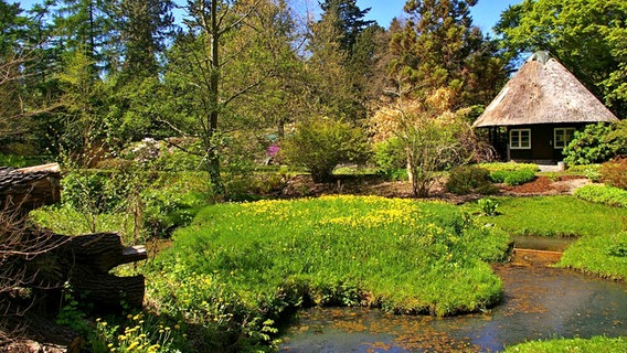 حدائق ترفيهي حدائق Botanischer Garten Rostock