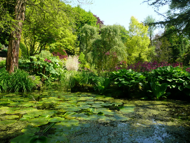 Fletcher moss park & botanical gardens Fletcher moss park & botanical gardens